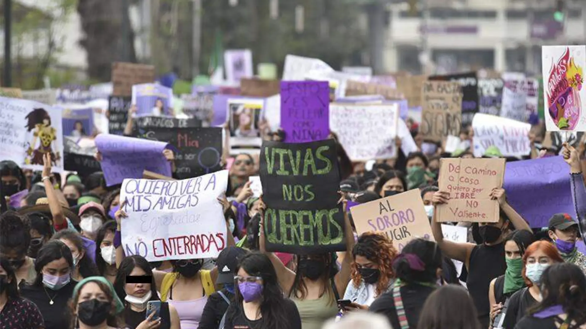 Lucha feminista Xalapa